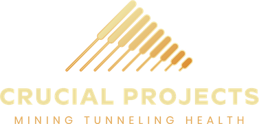Crucial Projects